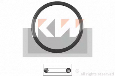 KW 590538 -  Прокладка, термостат