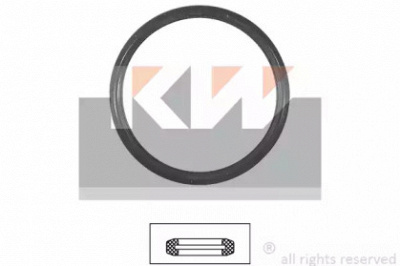 KW 590547 -  Прокладка, термостат