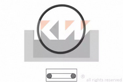 KW 590550 -  Прокладка, термостат