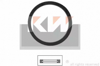 KW 590554 -  Прокладка, термостат