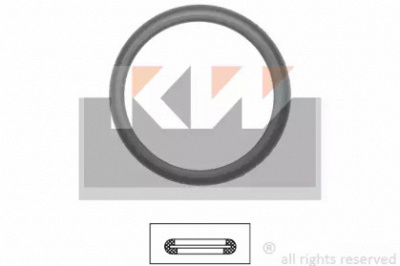 KW 590598 - Прокладка, термостат