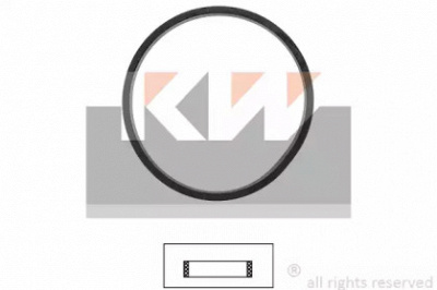KW 590649 - Прокладка, термостат