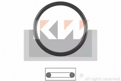 KW 590653 -  Прокладка, термостат
