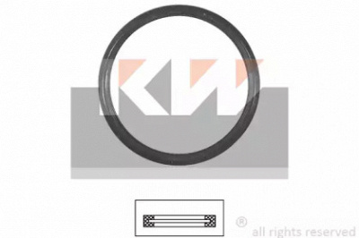 KW 590675 - Прокладка, термостат