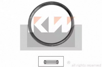 KW 590679 -  Прокладка, термостат