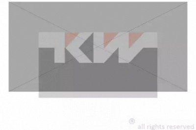 KW 906149r - Бегунок распределителя зажигани