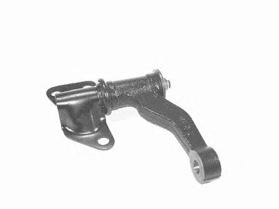 LEMFORDER 1625001 -  Маятниковый рычаг
