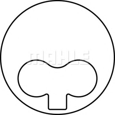 MAHLE 0093802 -  Поршень