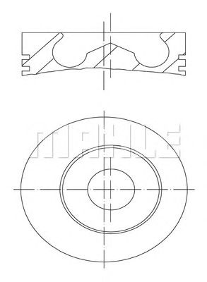 MAHLE 0102200 -  Поршень