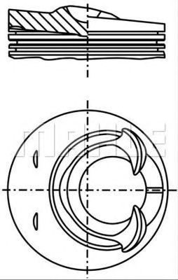 MAHLE 0282401 -  Поршень
