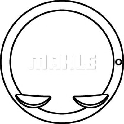MAHLE 6810900 -  Поршень
