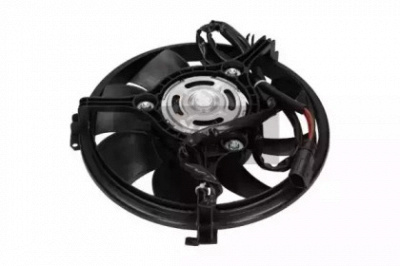 MAXGEAR 570038 -  Вентилятор, охлаждение двигателя