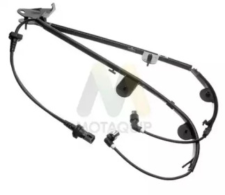 MOTAQUIP lvab659 -  Датчик, частота вращения колеса