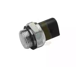 MOTAQUIP lvrf313 -  Термовыключатель, вентилятор радиатора