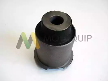 MOTAQUIP lvsk824 -  Подвеска, рычаг независимой подвески колеса