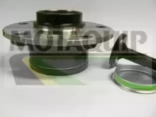 MOTAQUIP vbk1224 -  Комплект подшипника ступицы колеса