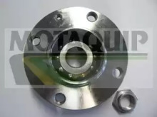 MOTAQUIP vbk295 -  Комплект подшипника ступицы колеса