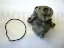 MOTAQUIP vwp866 -  Водяной насос