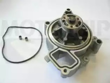 MOTAQUIP vwp868 -  Водяной насос