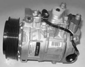 NPS dcp06010 -