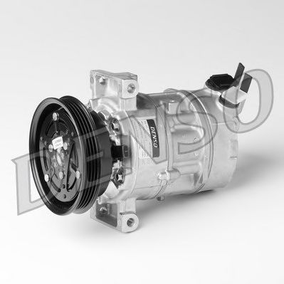 NPS dcp09002 -