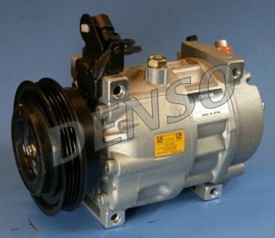 NPS dcp20001 -