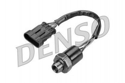 NPS dps01001 -