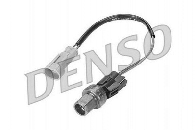 NPS dps01002 -
