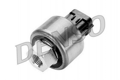NPS dps09001 -