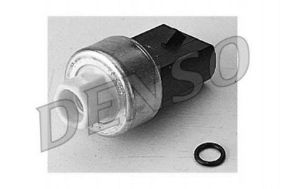 NPS dps10004 -