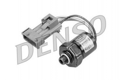 NPS dps25002 -