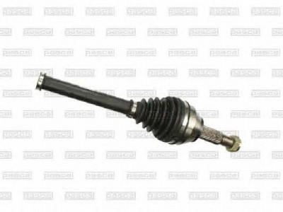 PASCAL g8g004pc -  