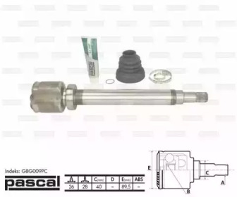 PASCAL g8g009pc -