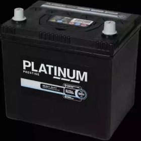 PLATINUM 005le -  