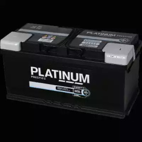 PLATINUM 017e -