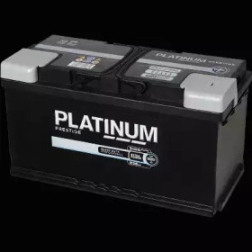 PLATINUM 019e -  