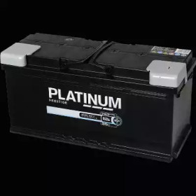 PLATINUM 020e -
