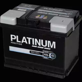 PLATINUM 027e -  