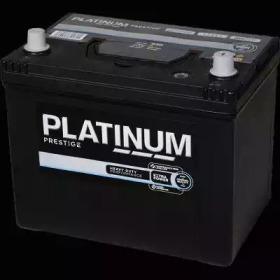 PLATINUM 030e -  