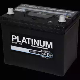 PLATINUM 031e -  