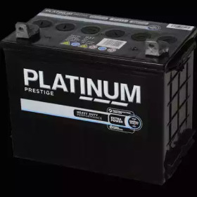 PLATINUM 037e -  