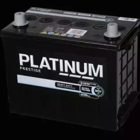 PLATINUM 038e -  