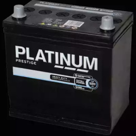 PLATINUM 048e -  
