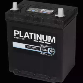 PLATINUM 054hde -