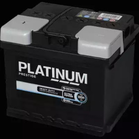 PLATINUM 077e -  