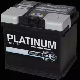 PLATINUM 079e -  