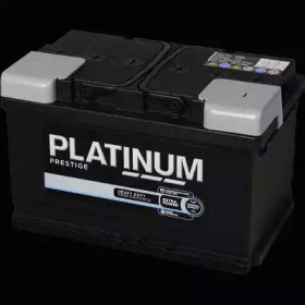 PLATINUM 095e -  