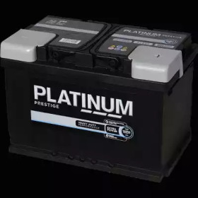PLATINUM 096e -  
