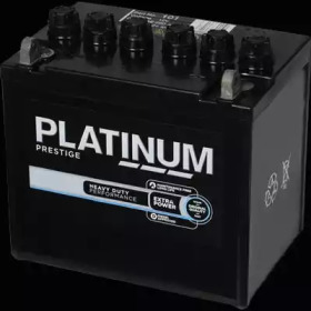 PLATINUM 101e -