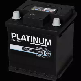 PLATINUM 102e -